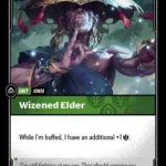 Wizened Elder