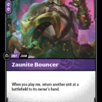 Zaunite Bouncer