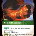 Combat Experience