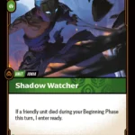 Shadow Watcher