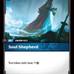 Soul Shepherd