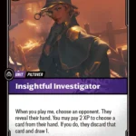 Insightful Investigator
