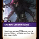 Shadow Order Disciple